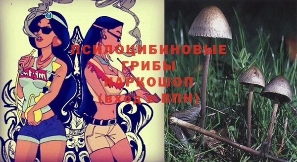 бошки Лихославль