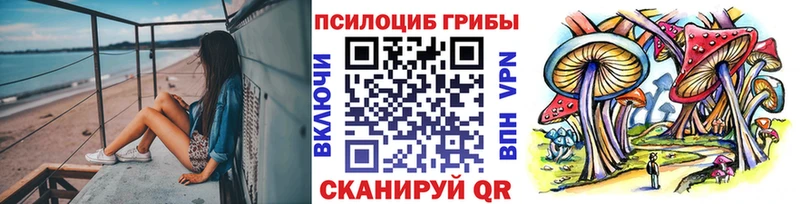 Псилоцибиновые грибы ЛСД  Купить  Камень-на-Оби 